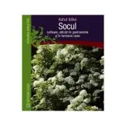 Socul. Cultivare, utilizari in gastronomie si in farmacia casei