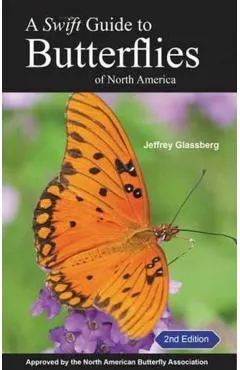 A Swift Guide to Butterflies of North America: Second Edition