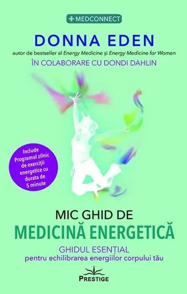 Mic Ghid de Medicină Energetică - Paperback brosat - Donna Eden