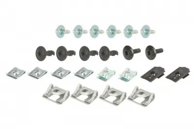 Set prindere scut motor BMW