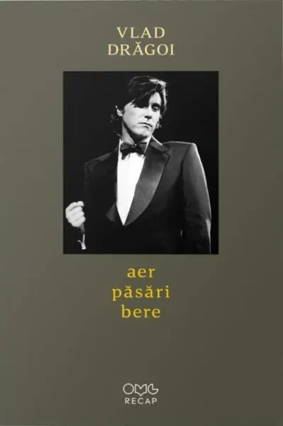 Aer, păsări, bere - Paperback brosat - Vlad Drăgoi