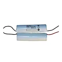 Akku 4,8V 2,4Ah ptr.Einzelbatt. luminien 8W 3h NLxxx833