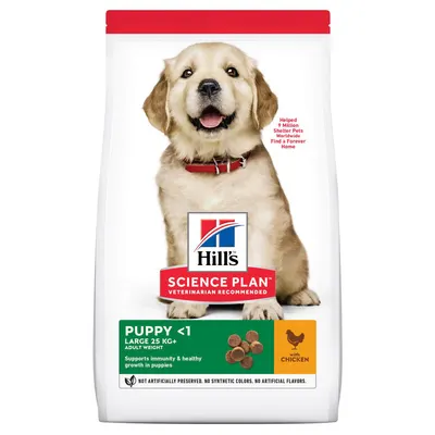 Hills SP CANINE PUPPY LB CHK, hrana uscata pentru caini juniori de talie mare, cu pui, 14.5 KG