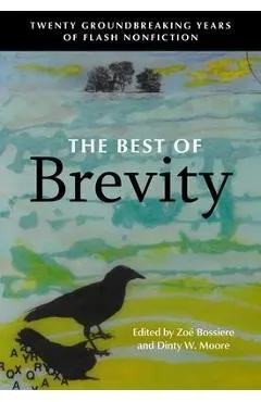 The Best of Brevity: Twenty Groundbreaking Years of Flash Nonfiction