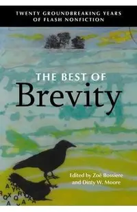 The Best of Brevity: Twenty Groundbreaking Years of Flash Nonfiction