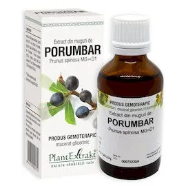 Extract din muguri de Porumbar, 50ml, PlantExtrakt