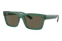 Ray-Ban Warren RB4396 6681/3
