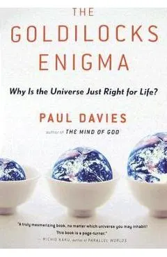 The Goldilocks Enigma