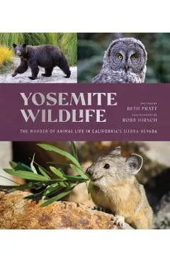 Yosemite Wildlife: The Wonder of Animal Life in California's Sierra Nevada