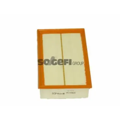 Filtru aer PURFLUX A1565