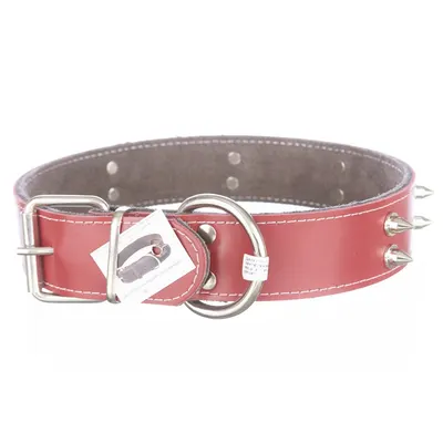 Zgarda din piele, rosie, cu colti metalici, 4 cm x 65 cm
