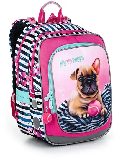 Rucsac școlarTopgal Endu - 22005, 2 compartimente, 21 l