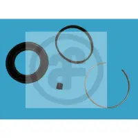 Set reparatie, etrier AUTOFREN SEINSA D4252