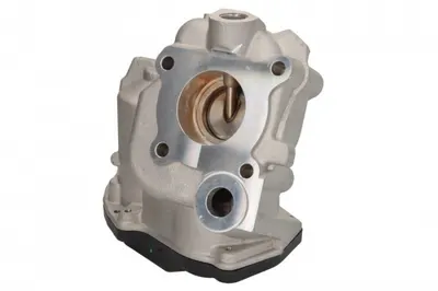 Supapa Egr Potrivit Mercedes a (w176), B Sports Tourer (w246, W242), C (a205), C (c204), C (c205), C T-Model (s204), C T-Model (s205), C (w204), C (w205), Cla (c117) 1.8d-3.0d 06.06