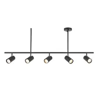 Rez 5lt Bar spotlight