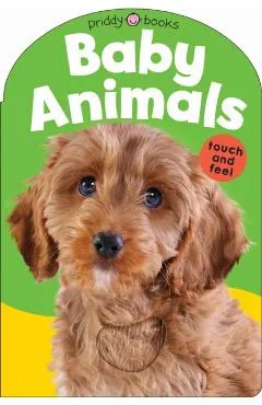 Baby Touch & Feel: Baby Animals