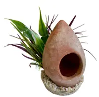 Sydeco Planta Fish Home Plants 22 cm 380471