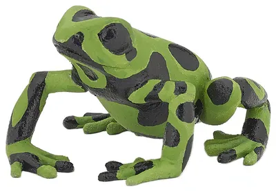 Figurină Papo Wild Animal Kingdom – Broască verde ecuatorială