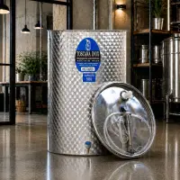 Cisterna inox vin 500L cu capac cu etansare gonflabila – AISI 304, fund plan - Toscana Inox