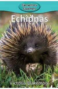 Echidnas