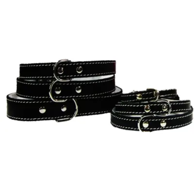 Pet Expert Zgarda Pasla Negru - nr-2
