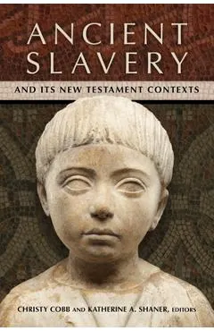 Ancient Slavery and Its New Testament Contexts