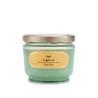 Exfoliant pentru corp Mango Kiwi, 600g, Sabon