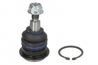 Pivot axa Dreapta Stanga (superior fata) (diametru con 13,4mm) potrivit VOLVO V40; HYUNDAI COUPE II, ELANTRA III, I20 I, MATRIX, SONATA IV, TIBURON, XG 1.1D-3.5 07.95-12.15