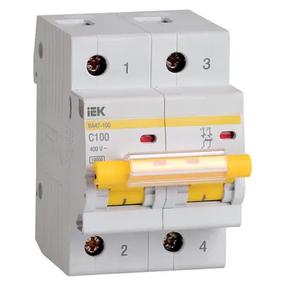 Siguranta automata VA47-100 2P 100A 10kA curba C