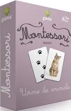 Montessori. Asocieri