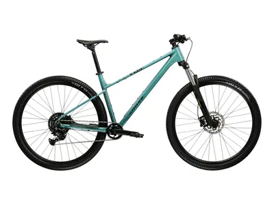Bicicletă LEVEL X100 29" verde/negru, M 440 mm
