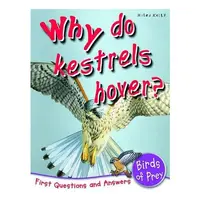 Why do kestrels hover?