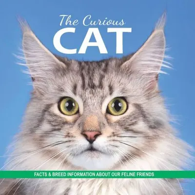The Curious Cat