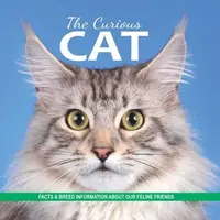 The Curious Cat