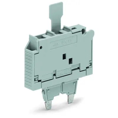 Fuse plug; with pull-tab; for glass cartridge fuse ¼ x 1¼; without blown fuse indication; 7.4 mm wide; gray
