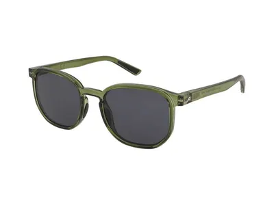 Ochelari de soare Alpina Dimont Green-Transparent Gloss/Black