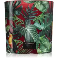 Vila Hermanos Jungletopia Wild Musk lumânare parfumată