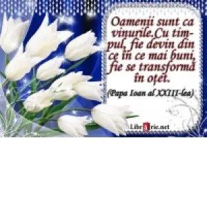 Card magnetic laminat (model 26) - Oamenii sunt ca vinurile. Cu timpul, fie devin din ce in ce mai buni, fie se transforma in otet. (Papa Ioan al XXIII-lea)