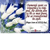 Card magnetic laminat (model 26) - Oamenii sunt ca vinurile. Cu timpul, fie devin din ce in ce mai buni, fie se transforma in otet. (Papa Ioan al XXIII-lea)
