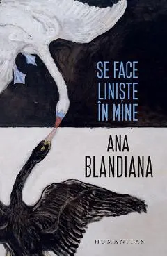 Se face liniste in mine