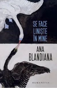 Se face liniste in mine