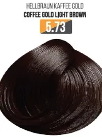 Vopsea Profesionala Fara Amoniac EVOQUE USA, Nuanta 5.73 COFFEE GOLD LIGHT BROWN - Cu Ulei de Argan si 12 Aminoacizi, 100 ml - Evoque