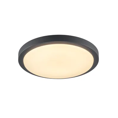Corp iluminat TAVAN, ainos de Luminita TAVAN, Plafon antracit lumina, LED-uri cu, 3000K, rotund, antracit, cu senzor