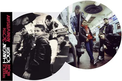 Hangin Tough (30th Anniversary Picture Vinyl)