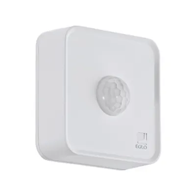 Connect Sensor white, motion detector Day/Night Function