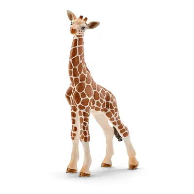 Figurina Schleich Wild Life Africa - Girafa reticulata, pui