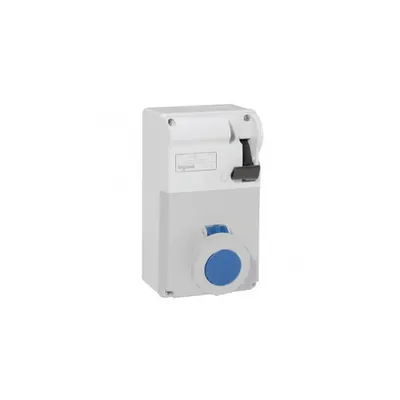 Combined unit P17 - cuout rail 125x220 - IP55 - 200/250 V~ - 16 A - 2P+E