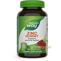 Zinc Gummy 22mg cu Aroma de Fructe de Padure 120 jeleuri Secom,
