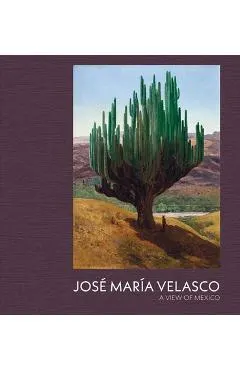Jose Maria Velasco: A View of Mexico