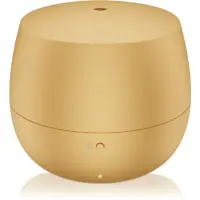 Stadler Form Diffuser Mia difuzor de aroma culoare Gold 1 buc